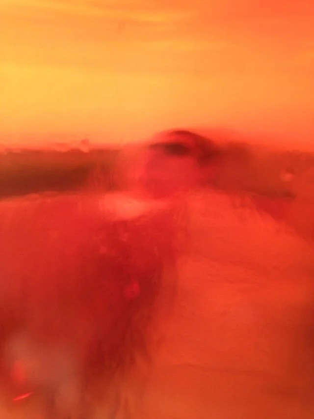 PhotoOct15,93119AM.jpg