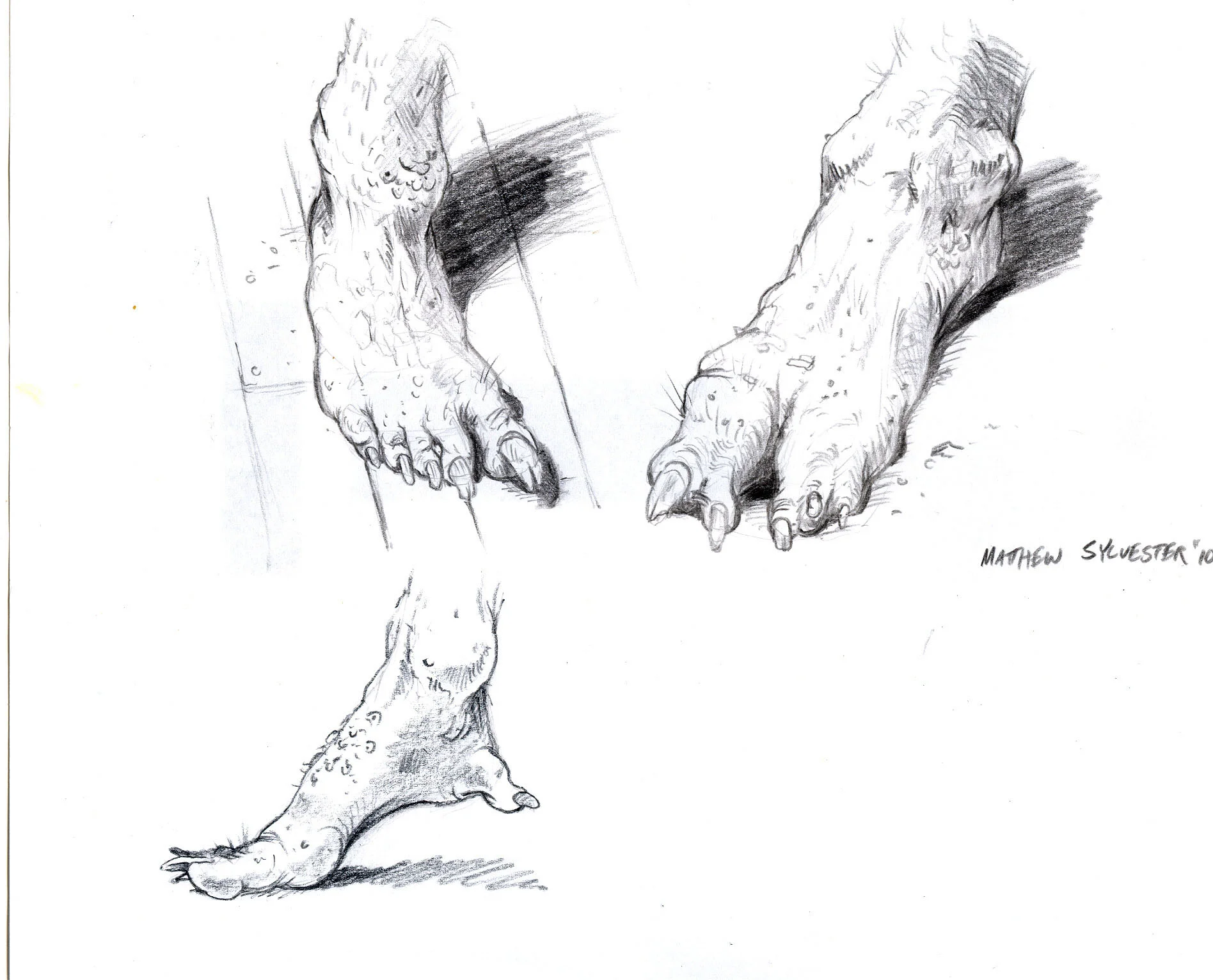 jenny feet 2.jpg