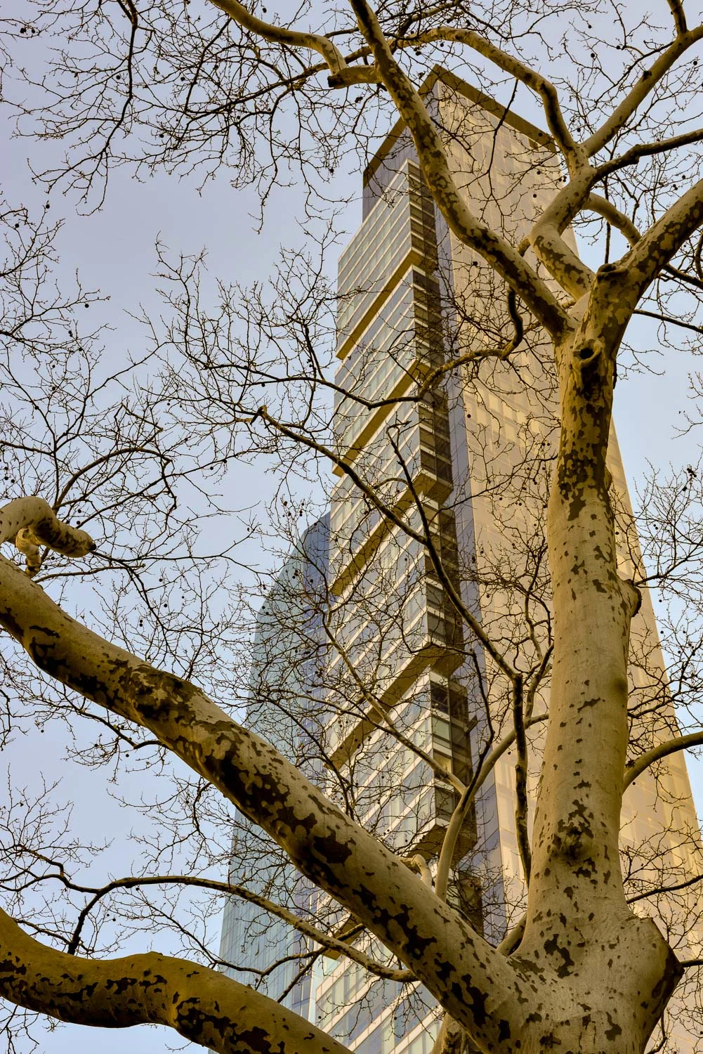 2018_21FEB-20.jpg