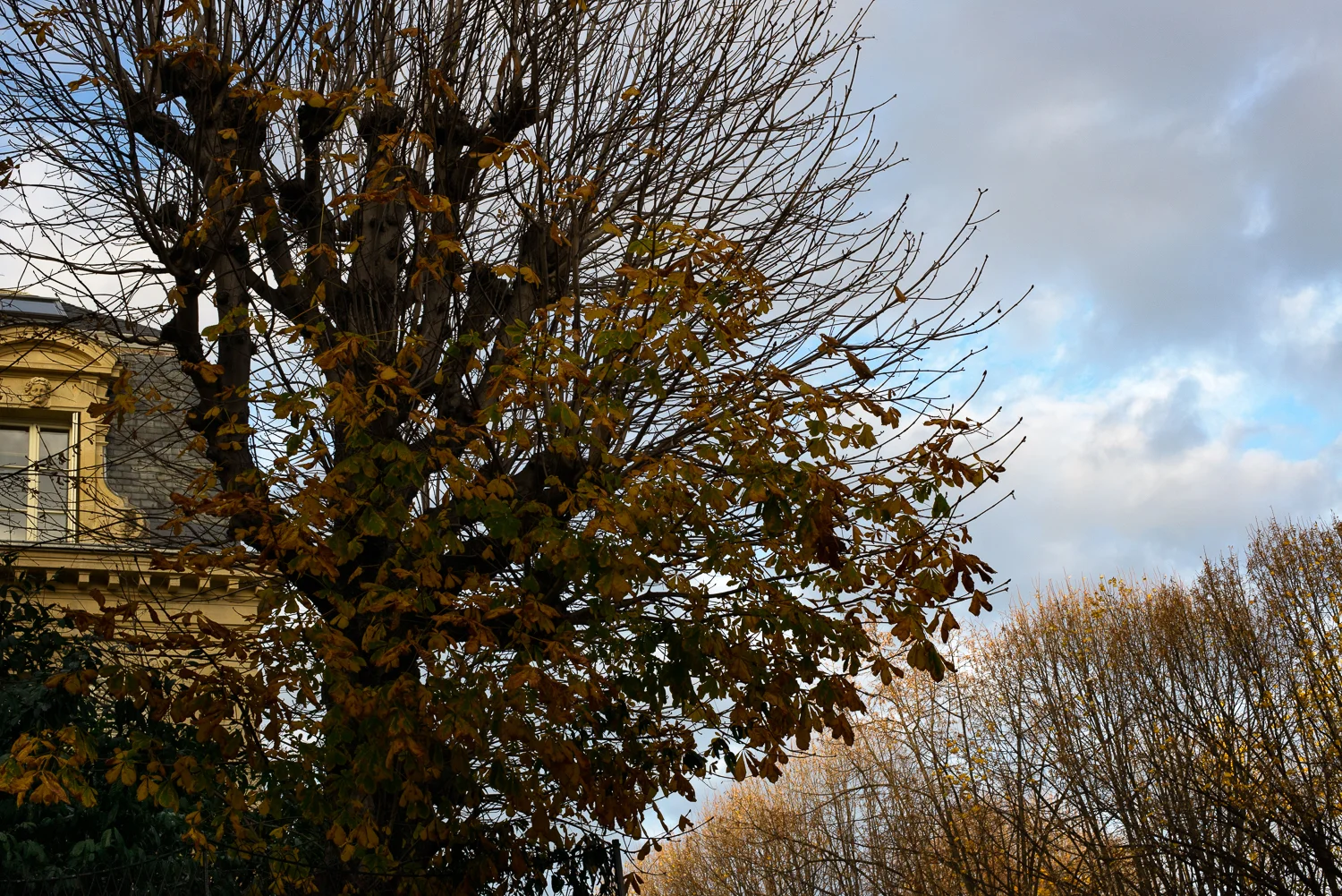 2015_06DEC-7.jpg