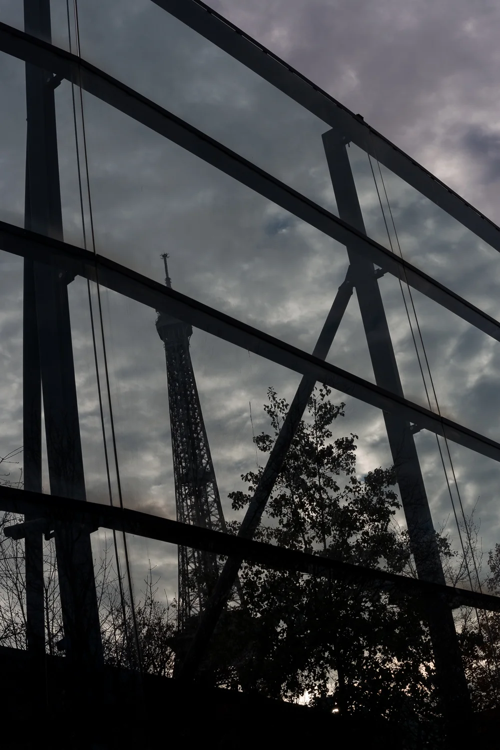 2015_06DEC-13.jpg