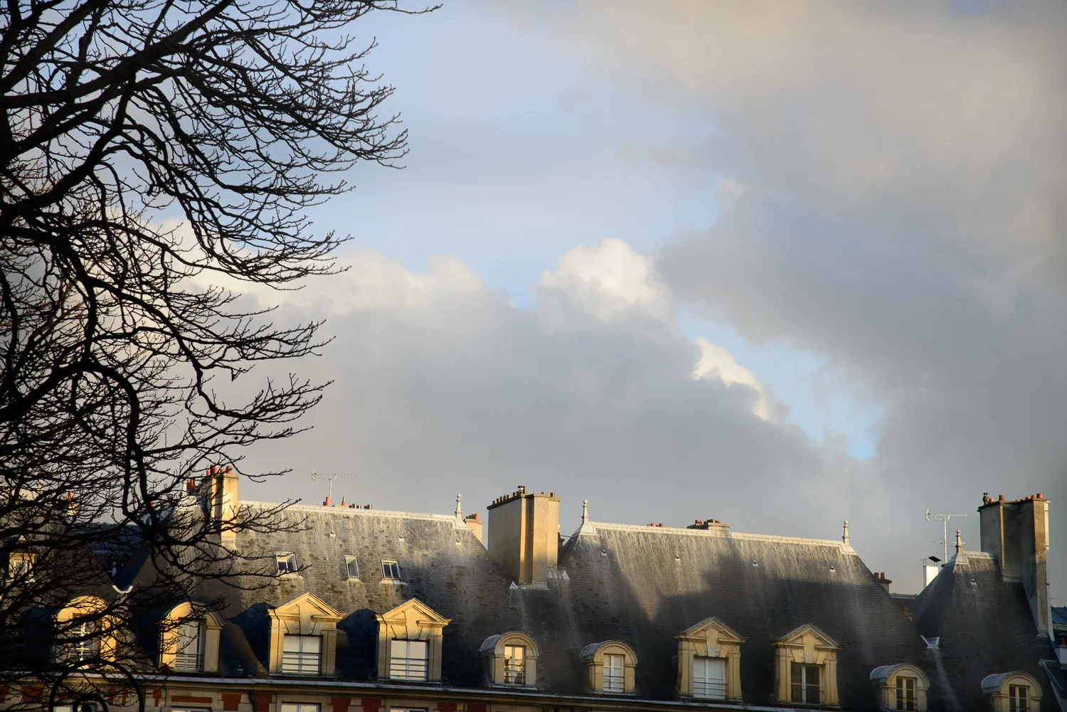2015_09DEC-28.jpg