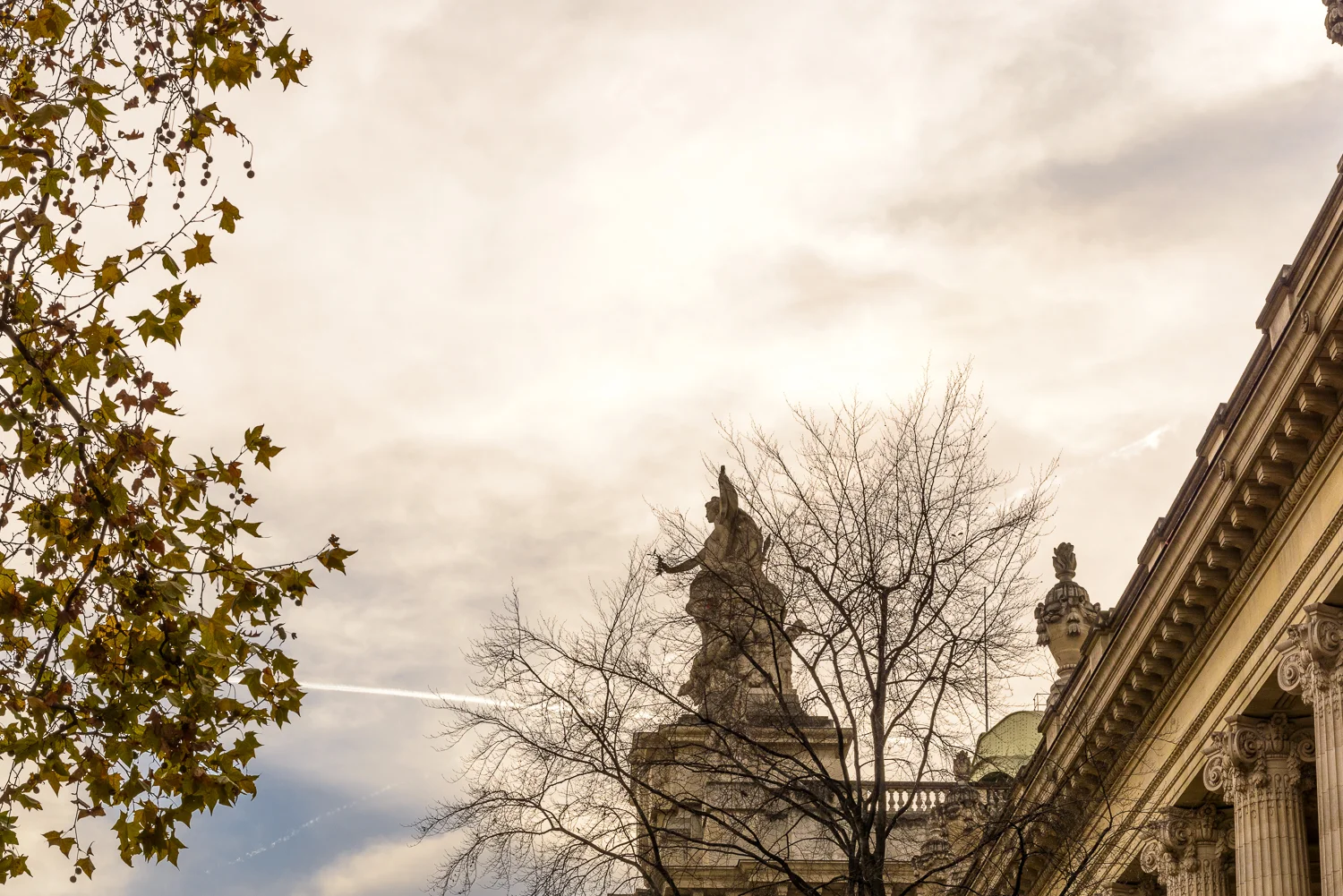 2015_03DEC-10.jpg