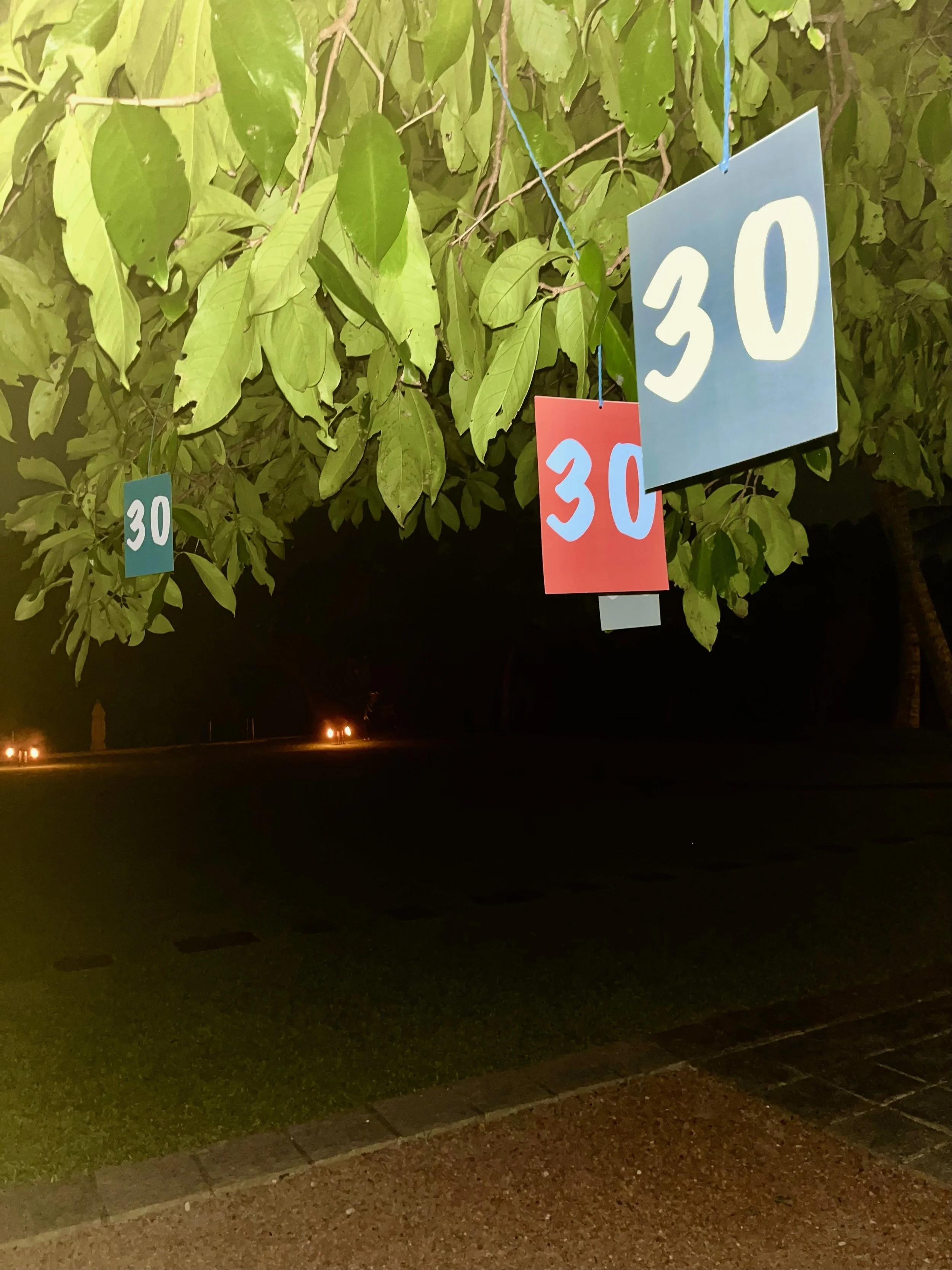 reef at 30c.jpg