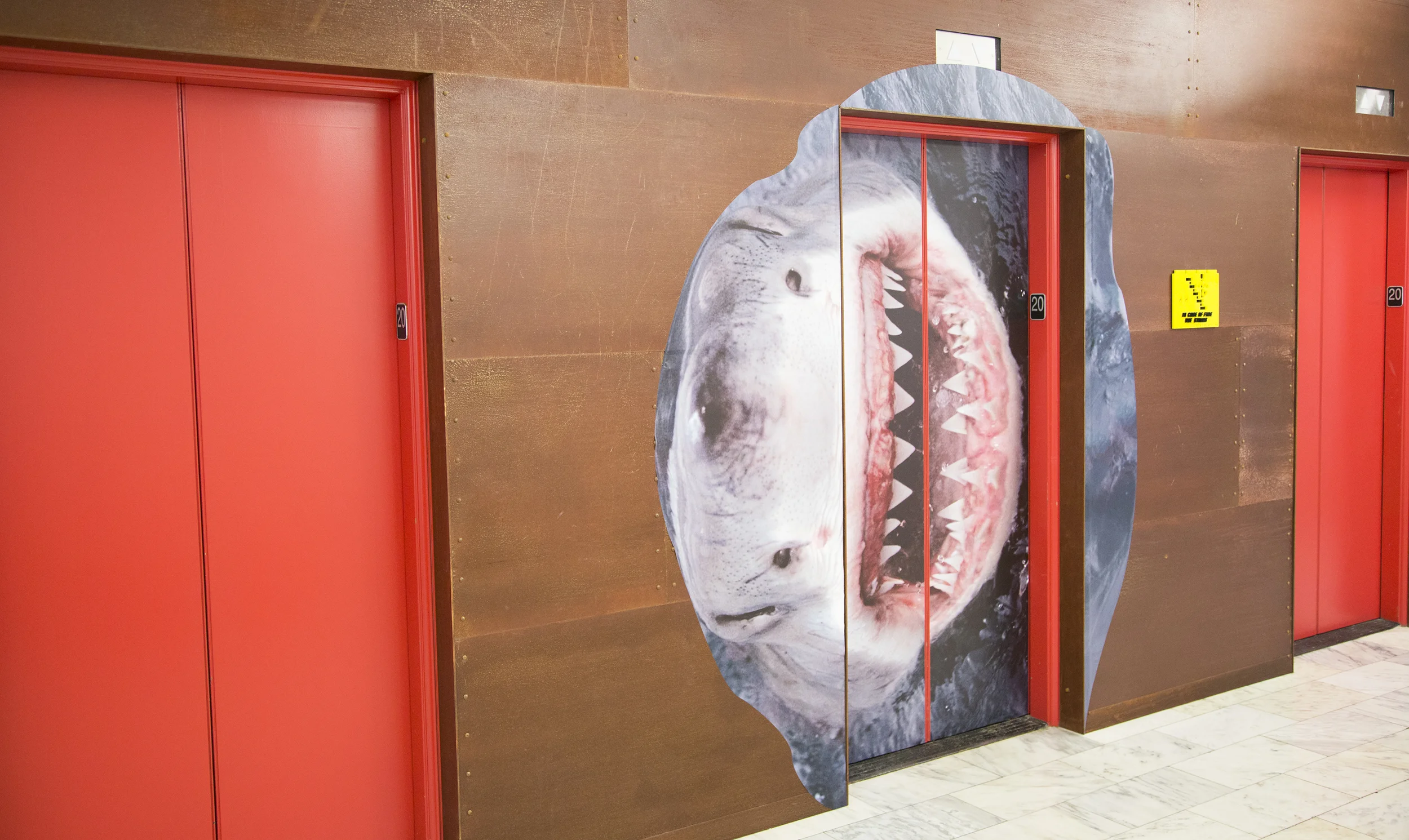 Stevie Soul Shark Week Fathead.jpg