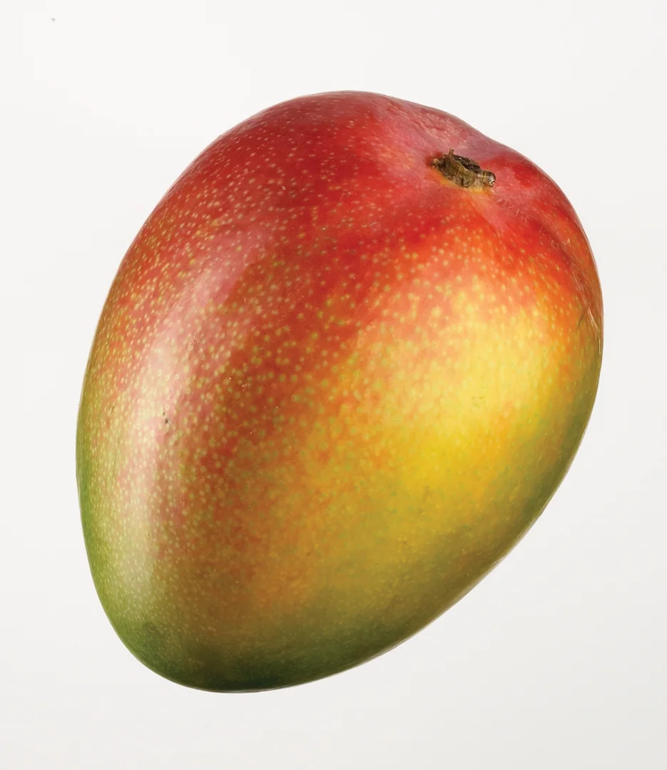 mango01.jpg