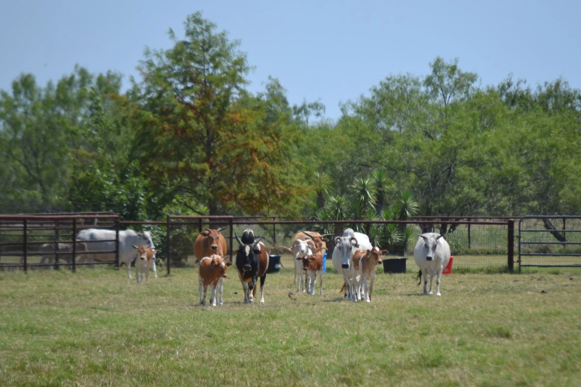 DSC_0711.jpg