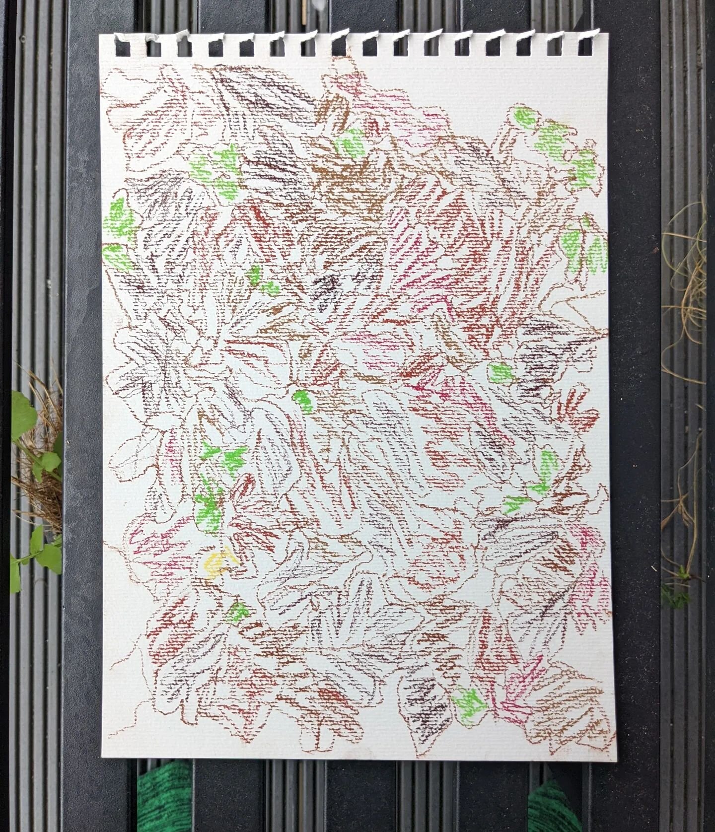 Trying out my new pastels