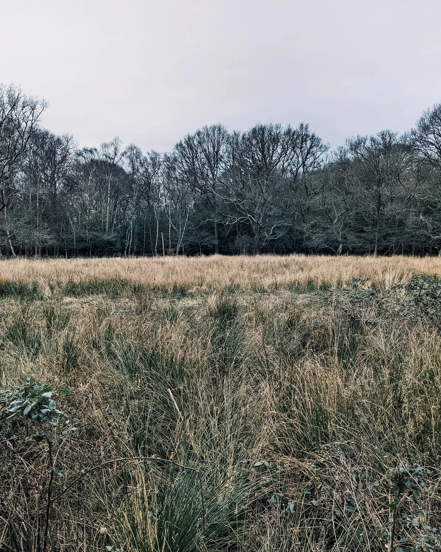 Falling for the colour beige again