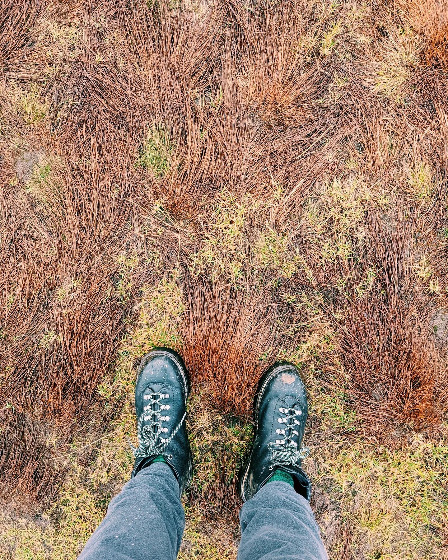 Just love the textures in this images