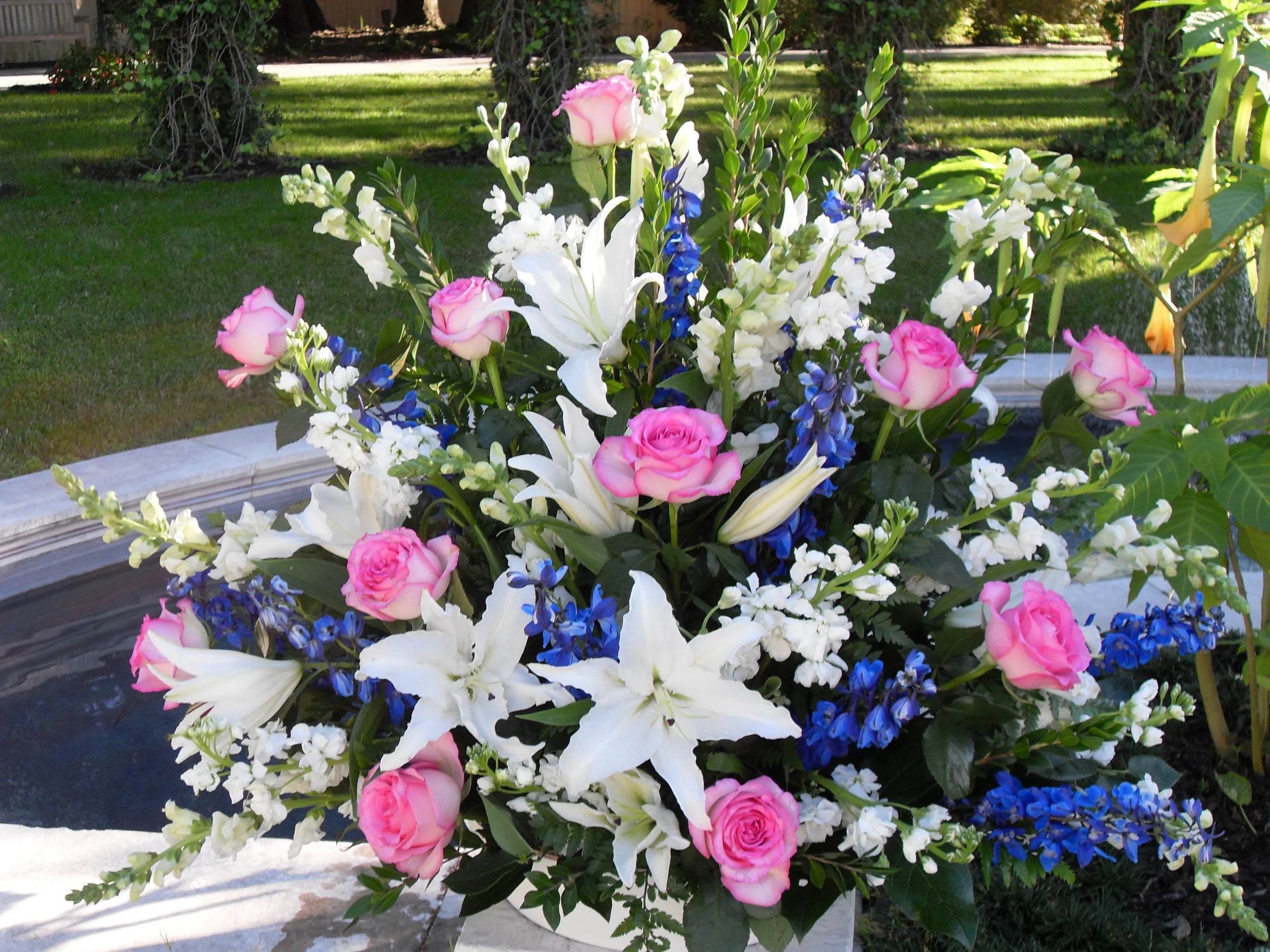 Camera pictures 111.JPG