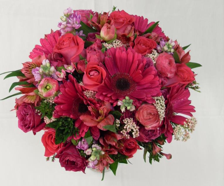 Pink Gerbers.png