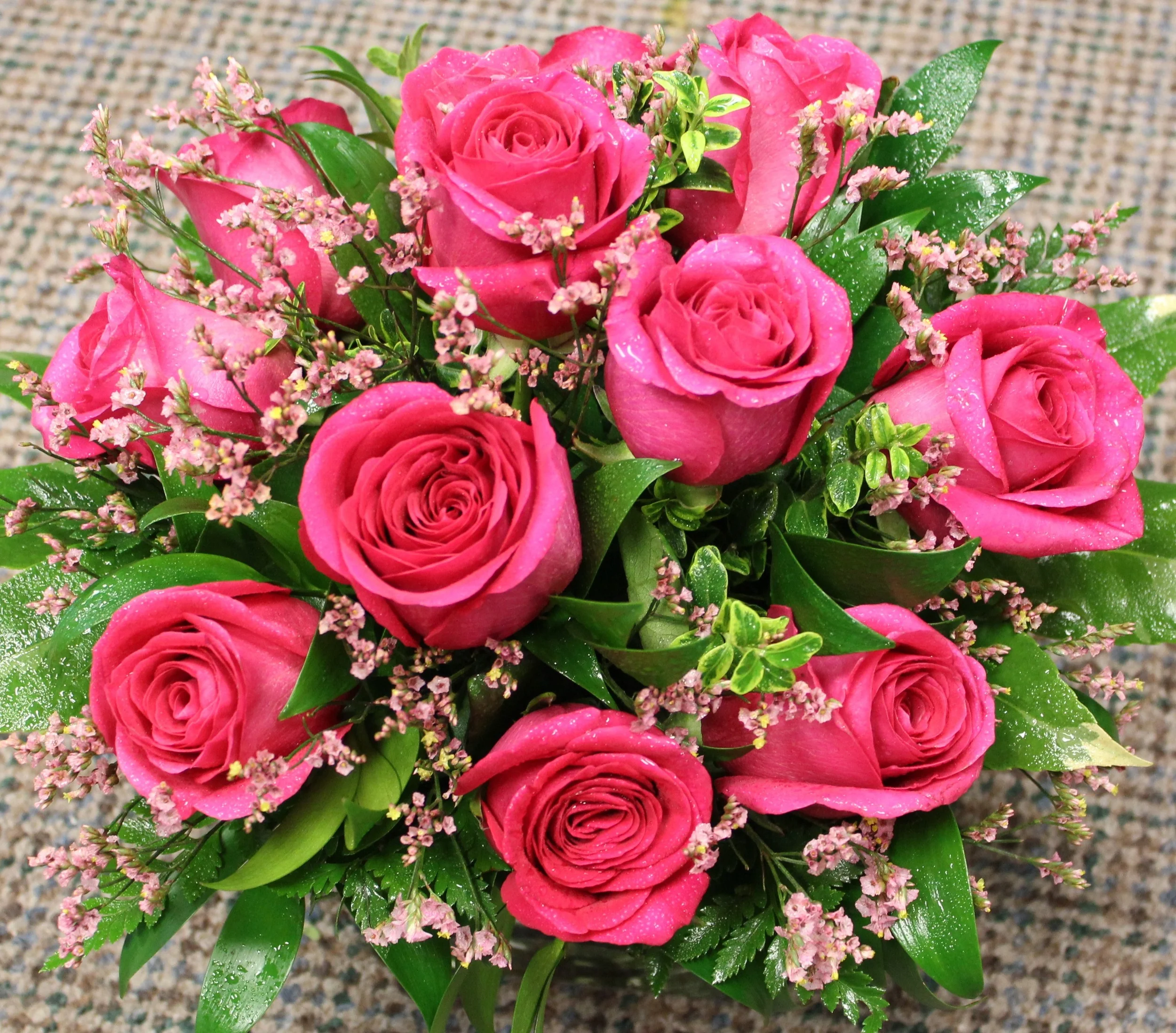 Pink Roses.jpg