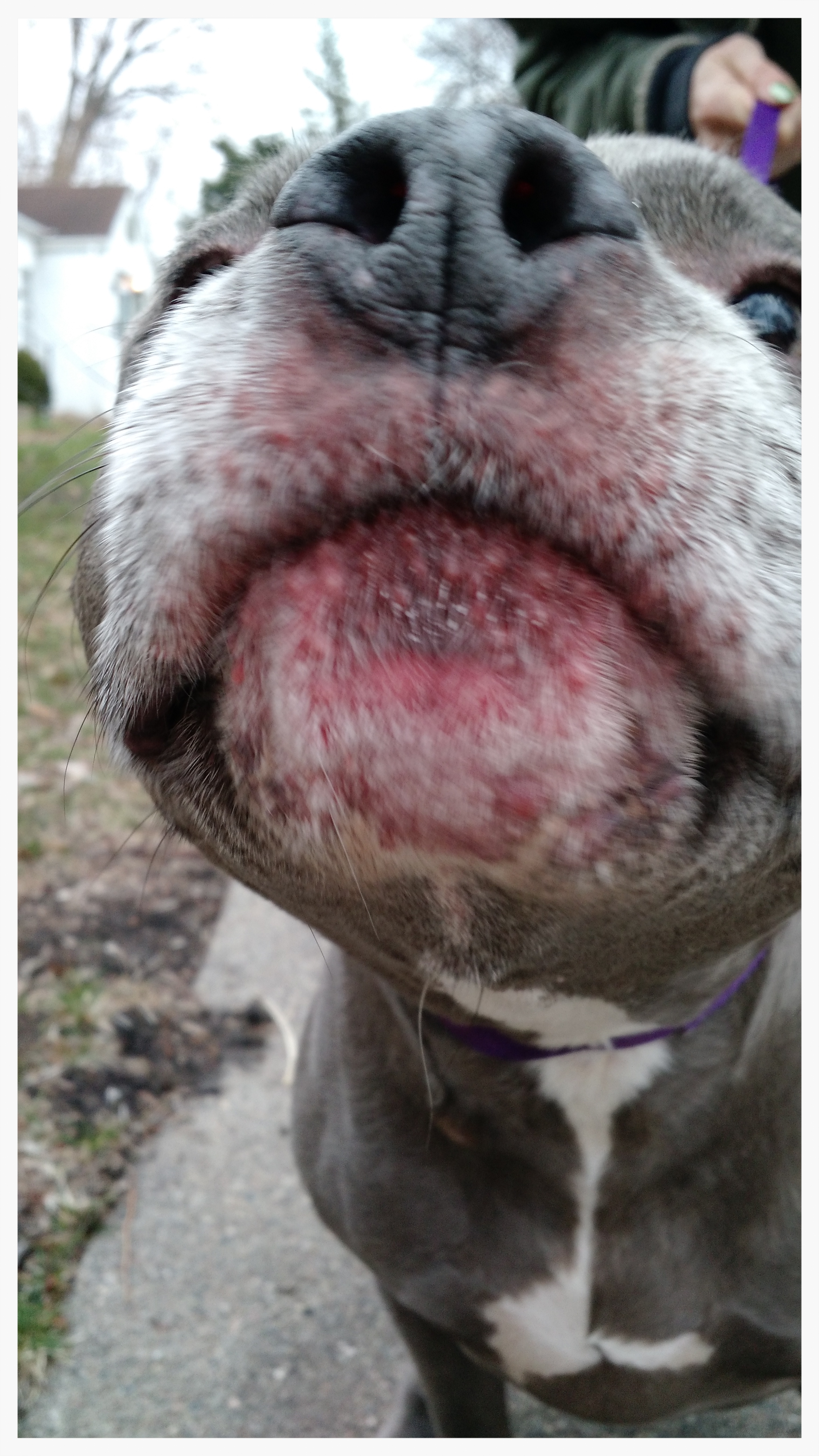 But my favorite thing of all? My BFF on the block, Frog. She came to say hi and made my day.