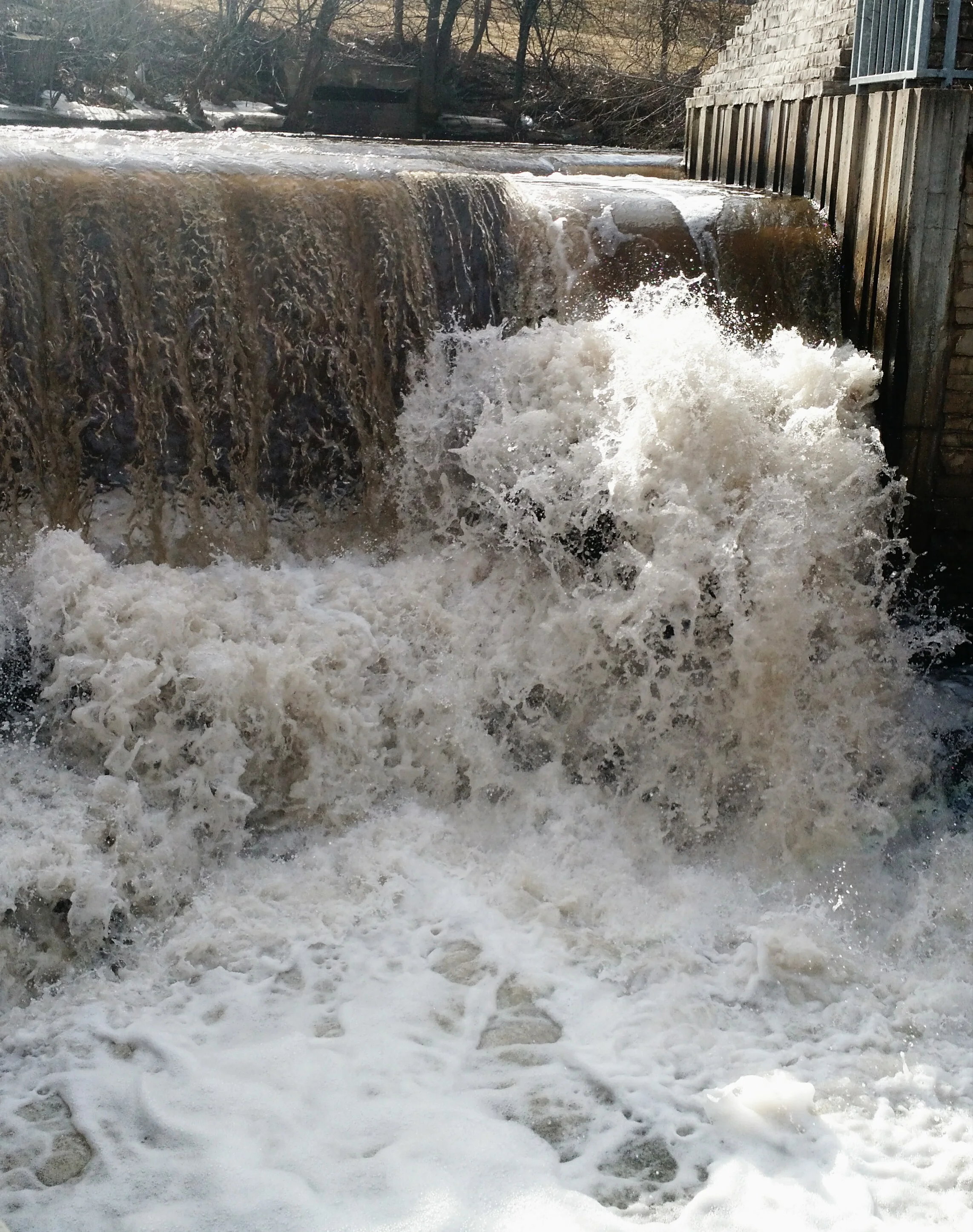Shingle Creek Falls, Webber Park