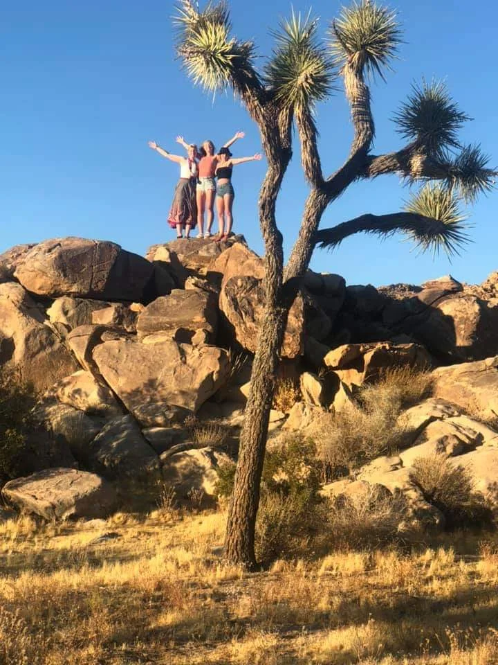 Joshua Tree National Park, California