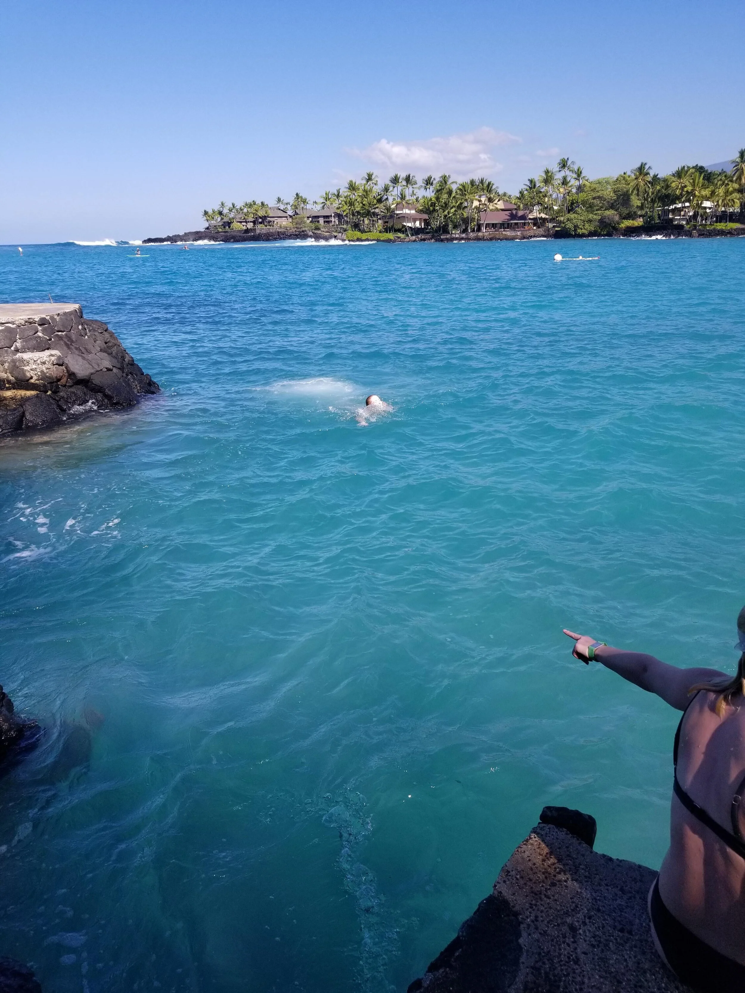 The rock from the sea urchin encounter