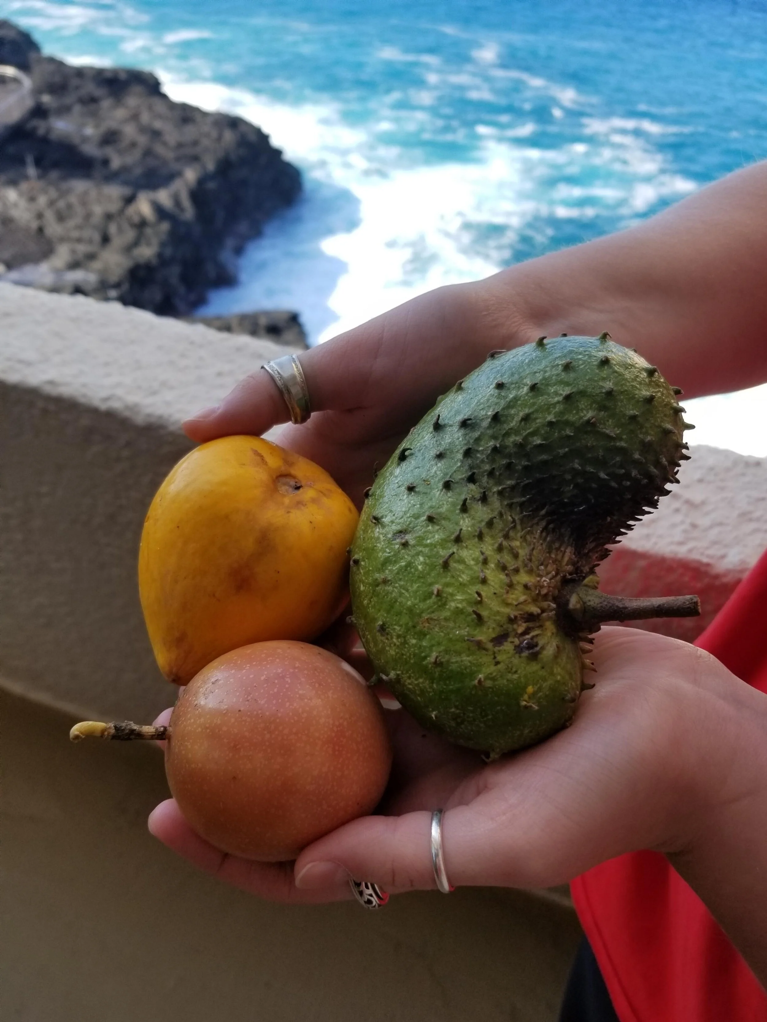Lilikoi (passion fruit-- small, reddish), egg fruit (yellow), and soursop (prickly green)