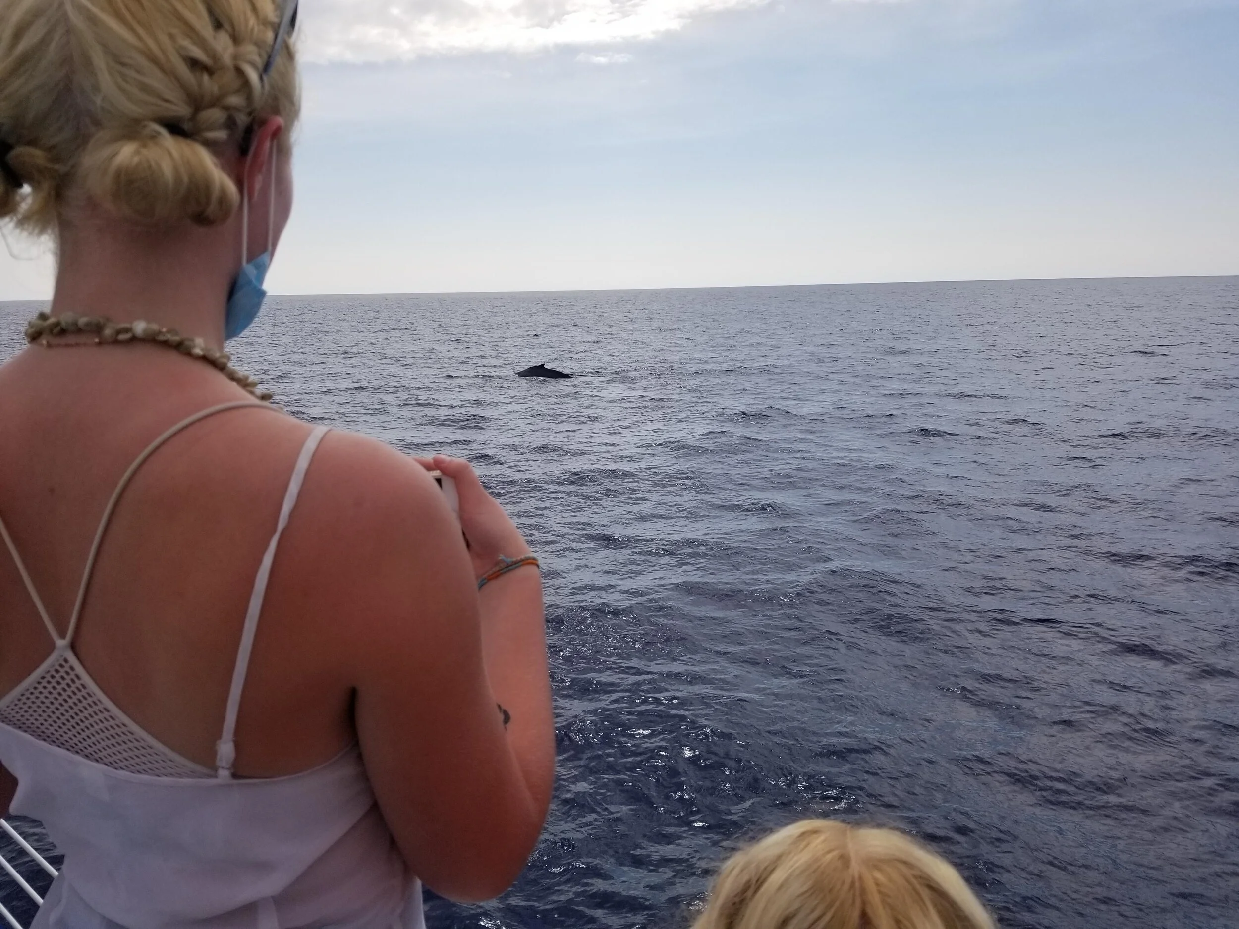 There's a humpback out there!