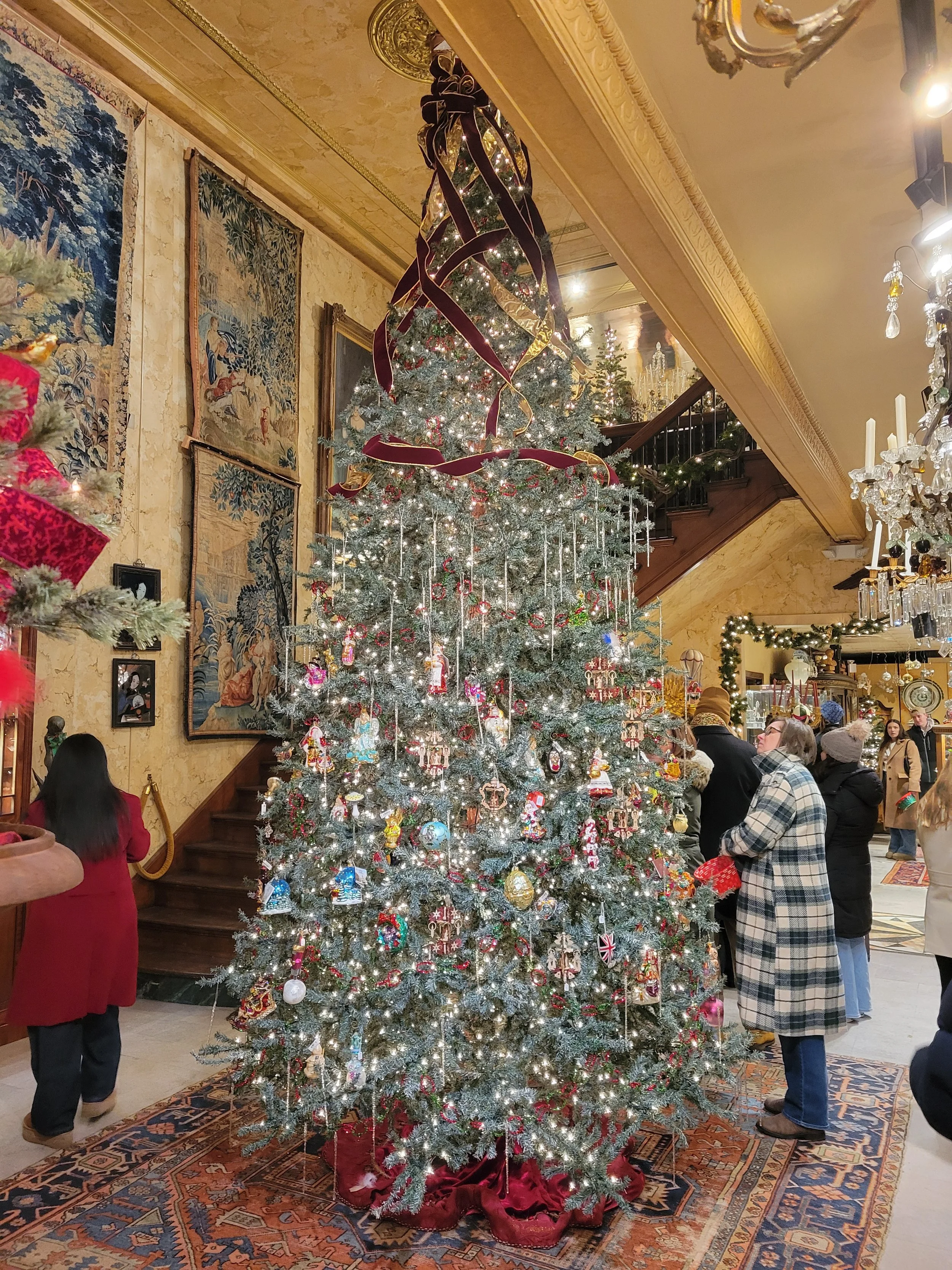 The tree at the antique shop.jpg