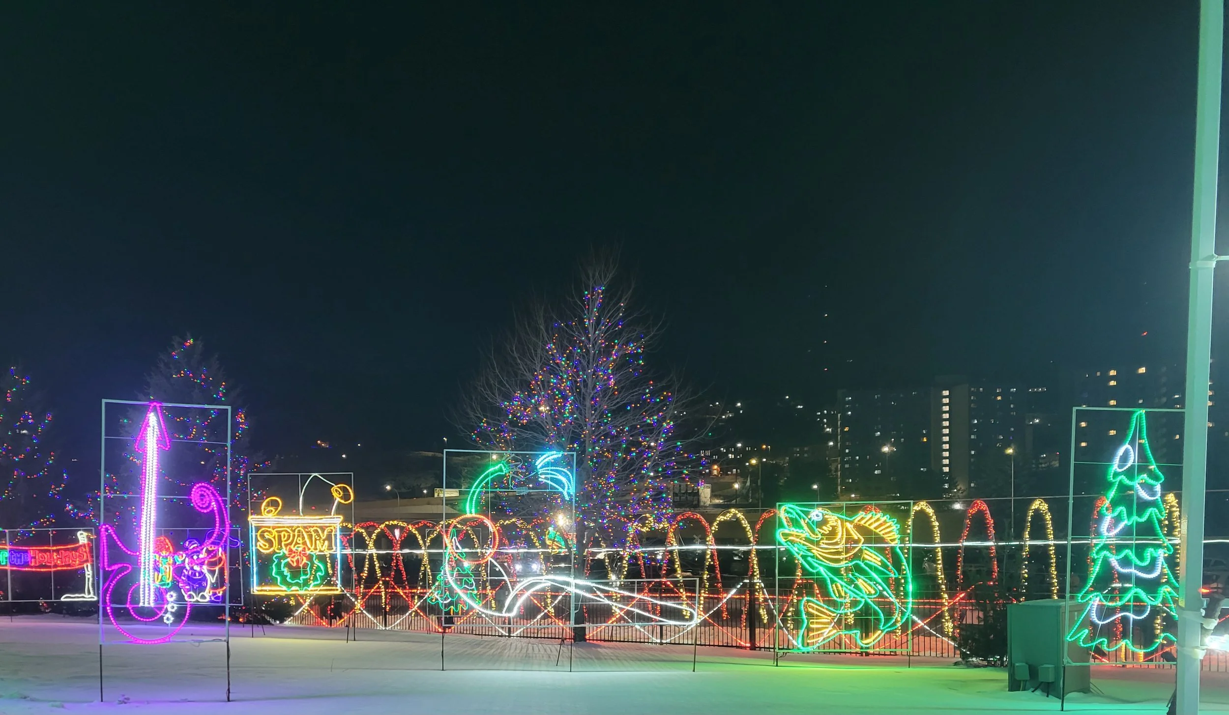 20251212_184716.jpg