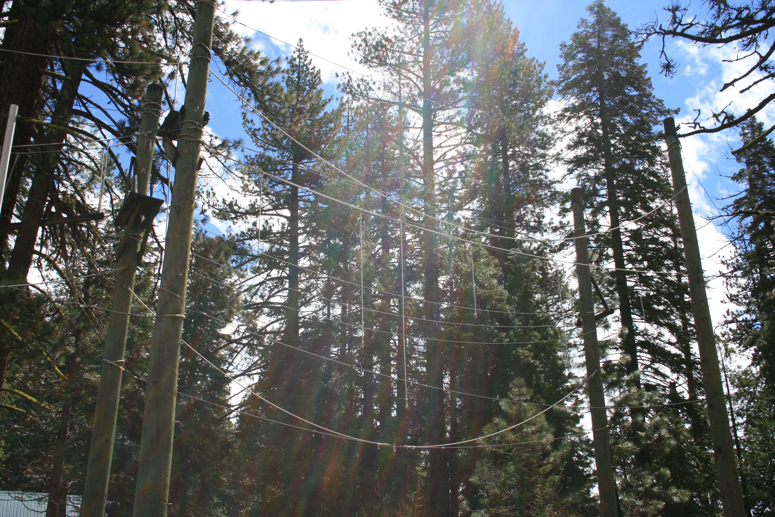 High Ropes Course