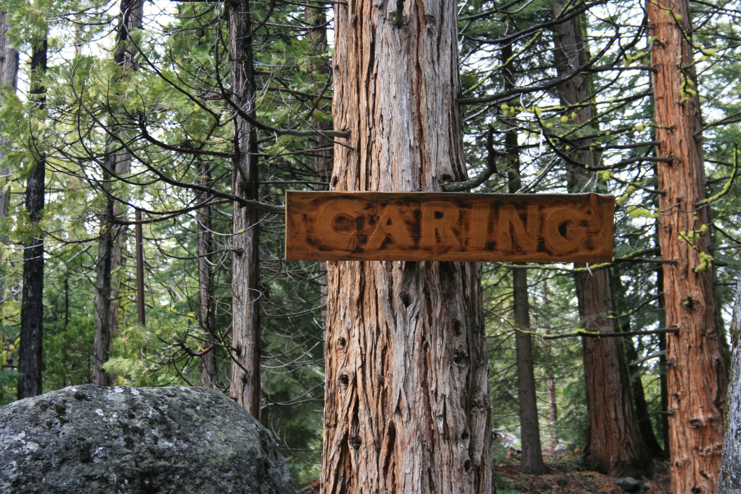 Trail Sign