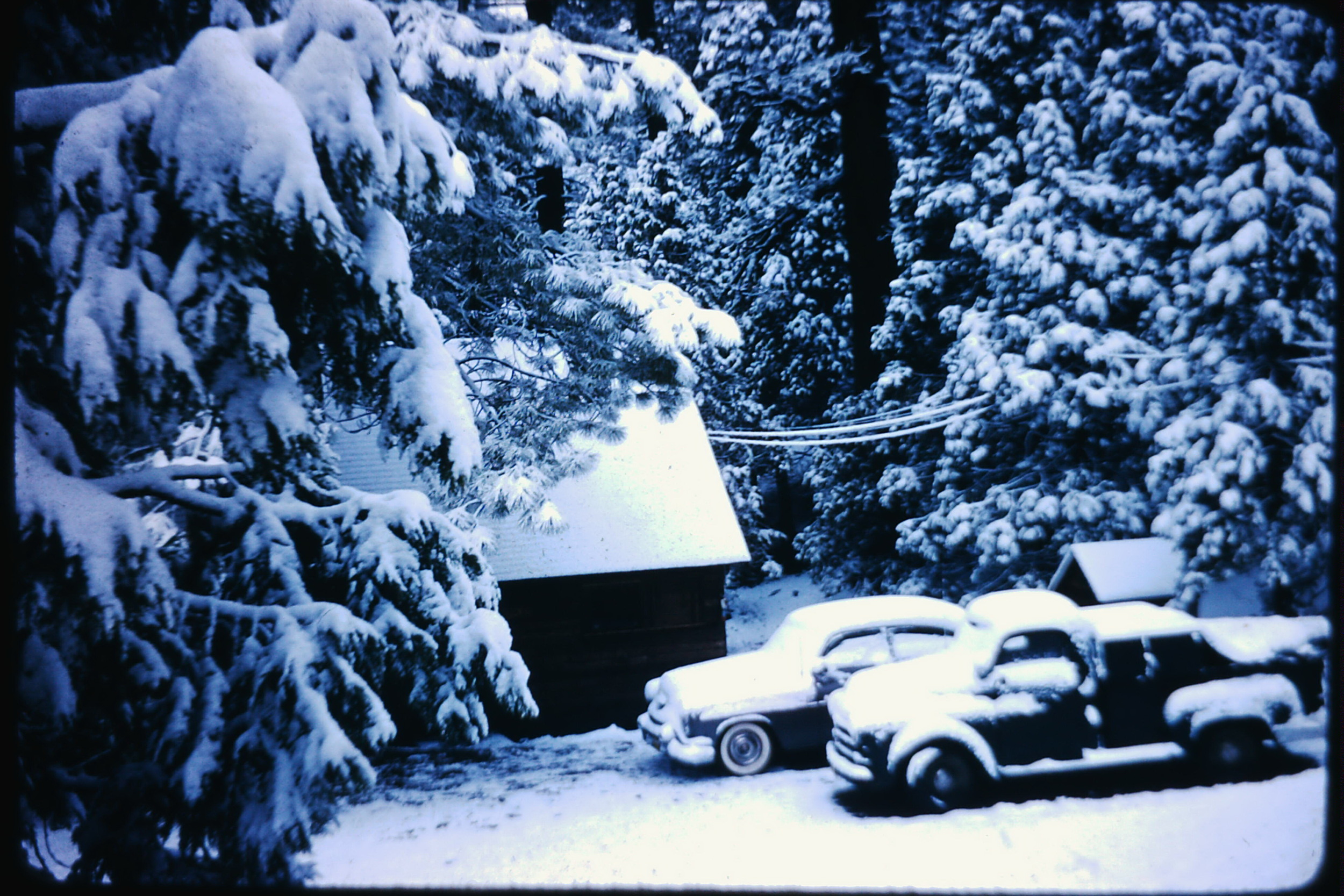 Snow on old trucks.jpg