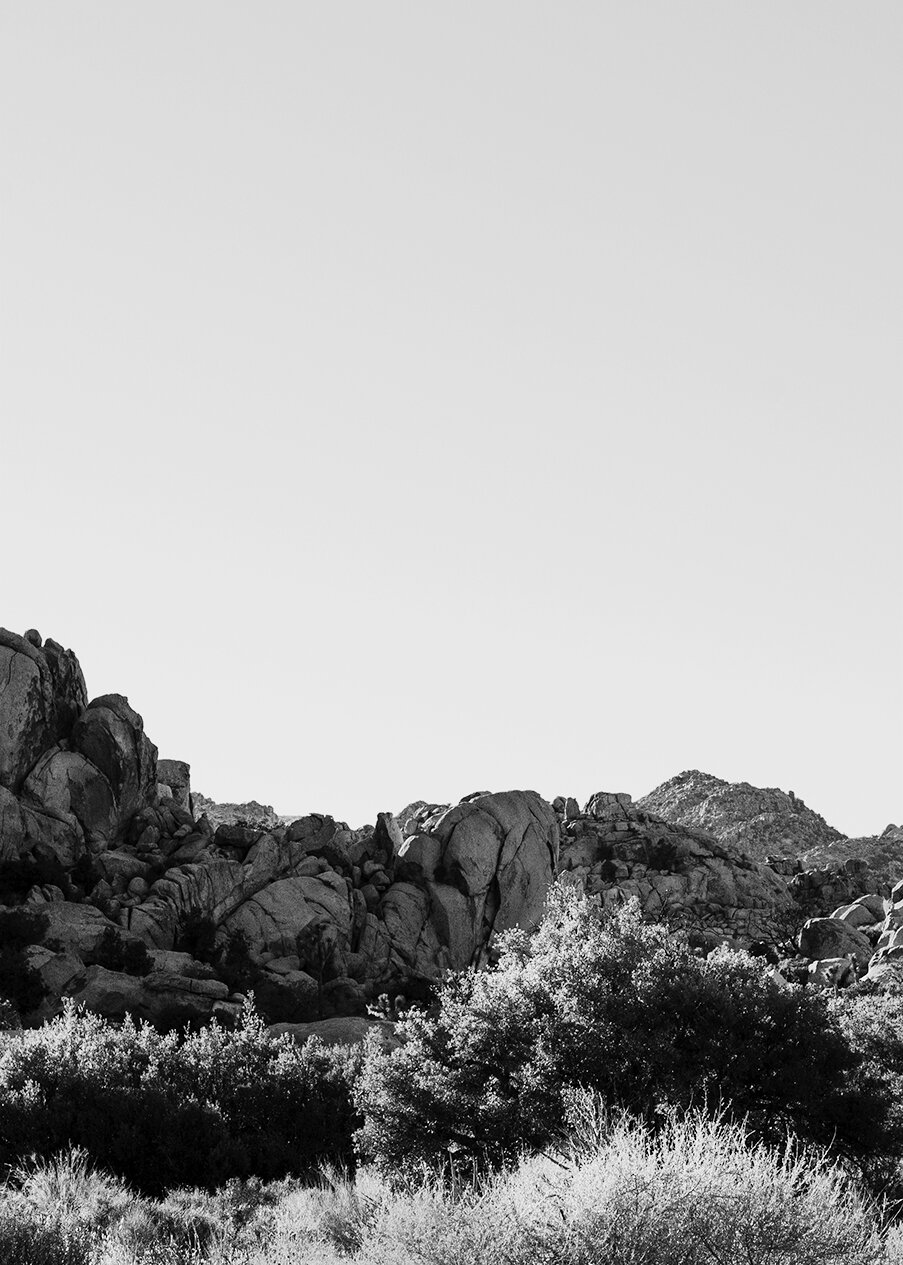 Landscapes of the Desert