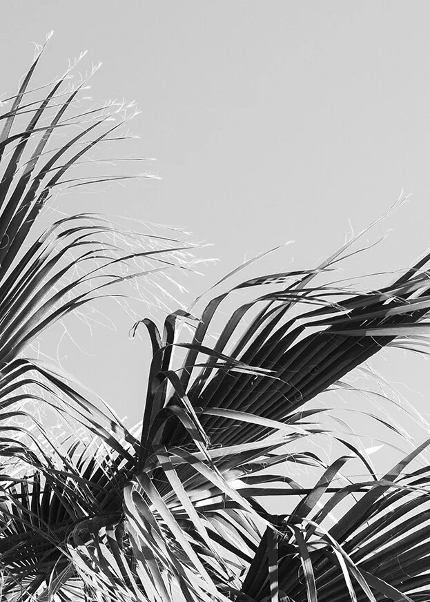 With The Wind