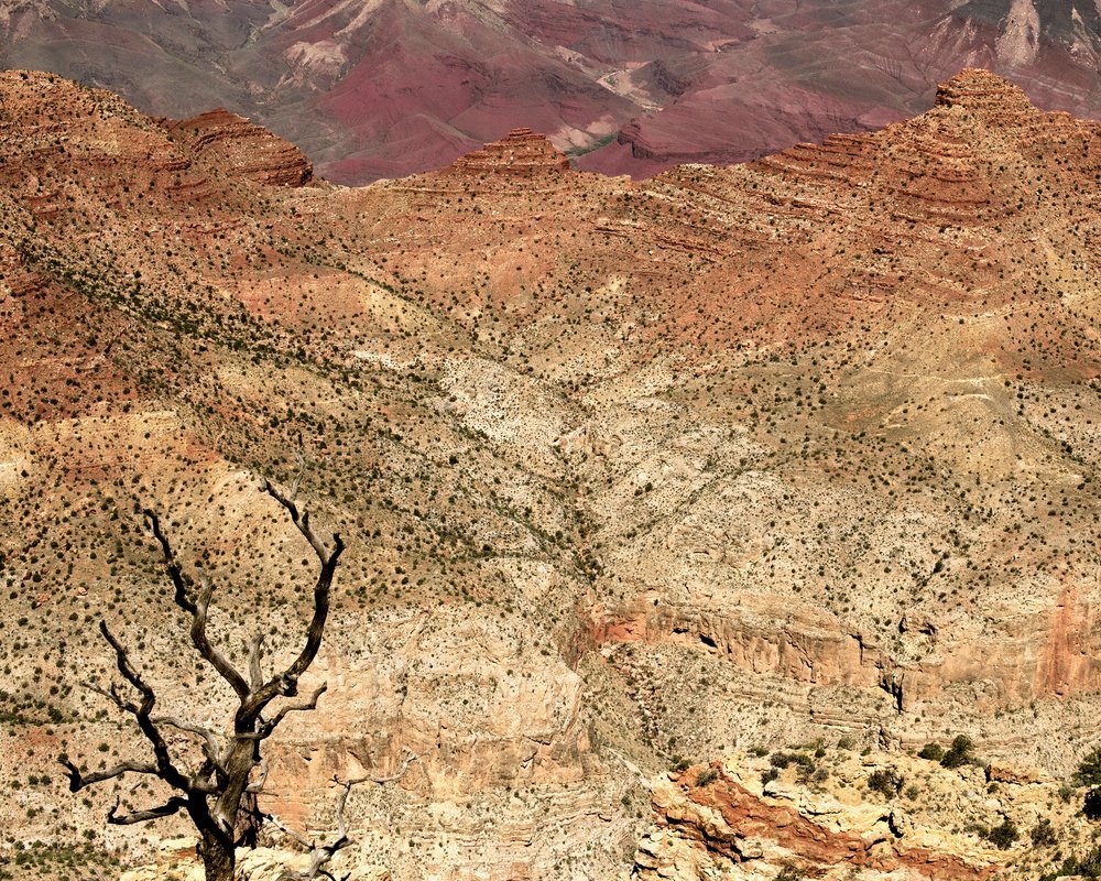 grand_canyon_full_crop_9658.jpg