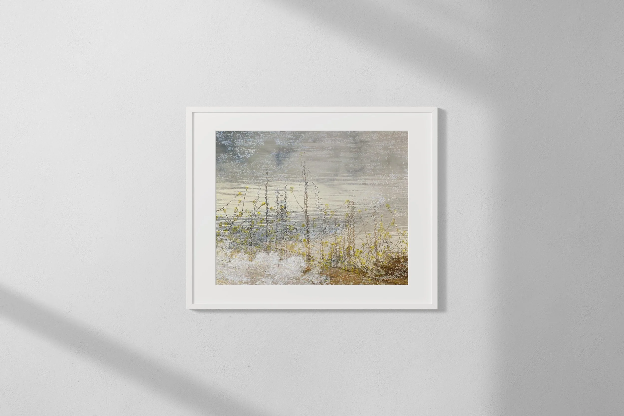 Rapeseed Sails, 2024