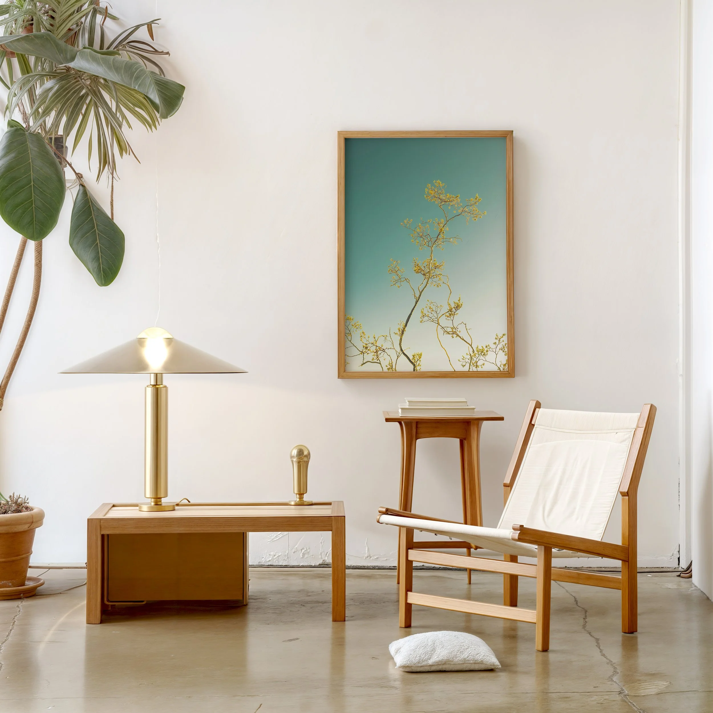 Desert Flower in frame