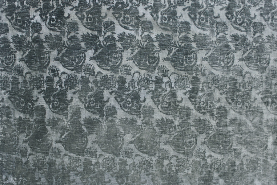 Canicula "Slate" Velvet