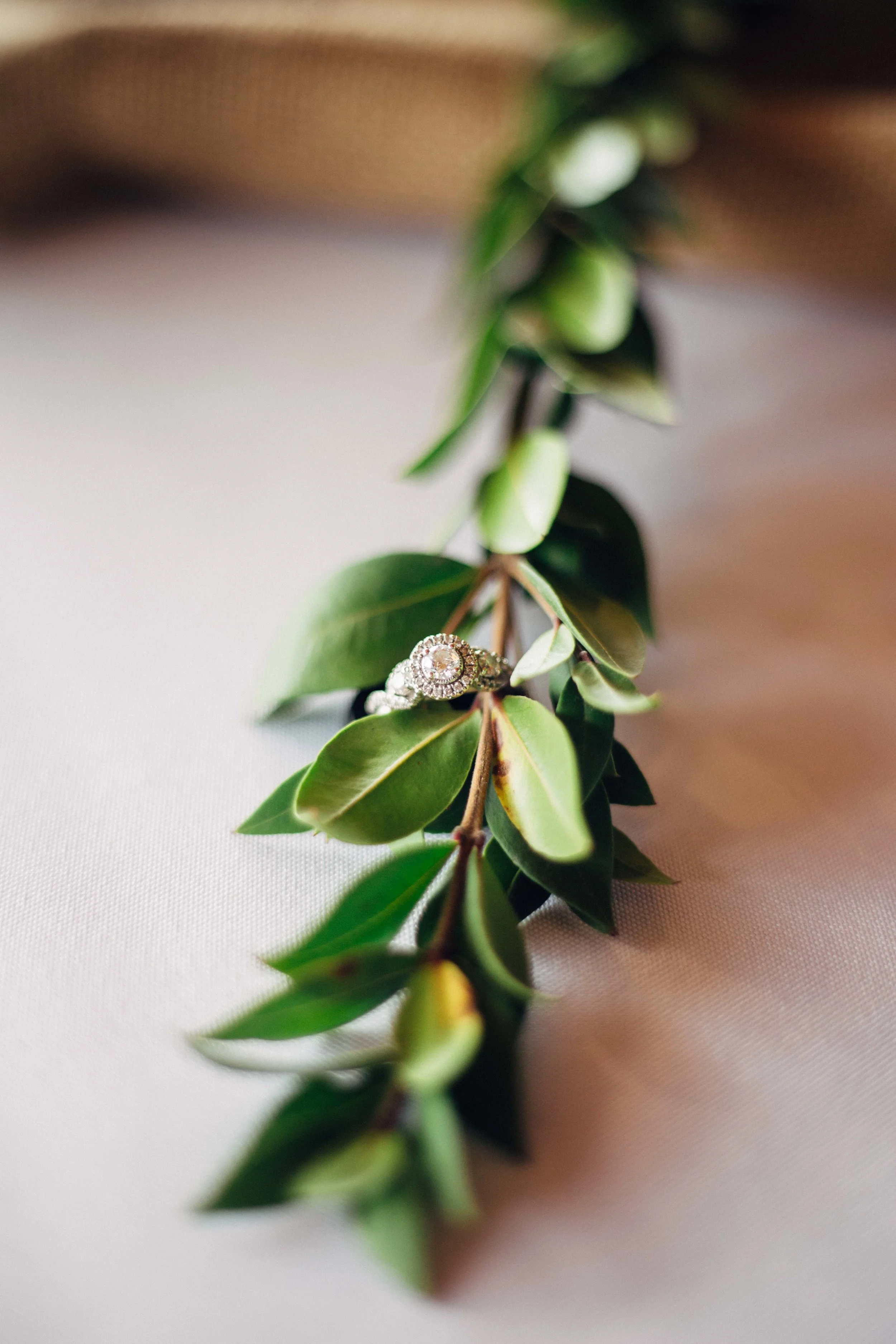 NathanMBivensPhotography_SteaseWedding-1.jpg