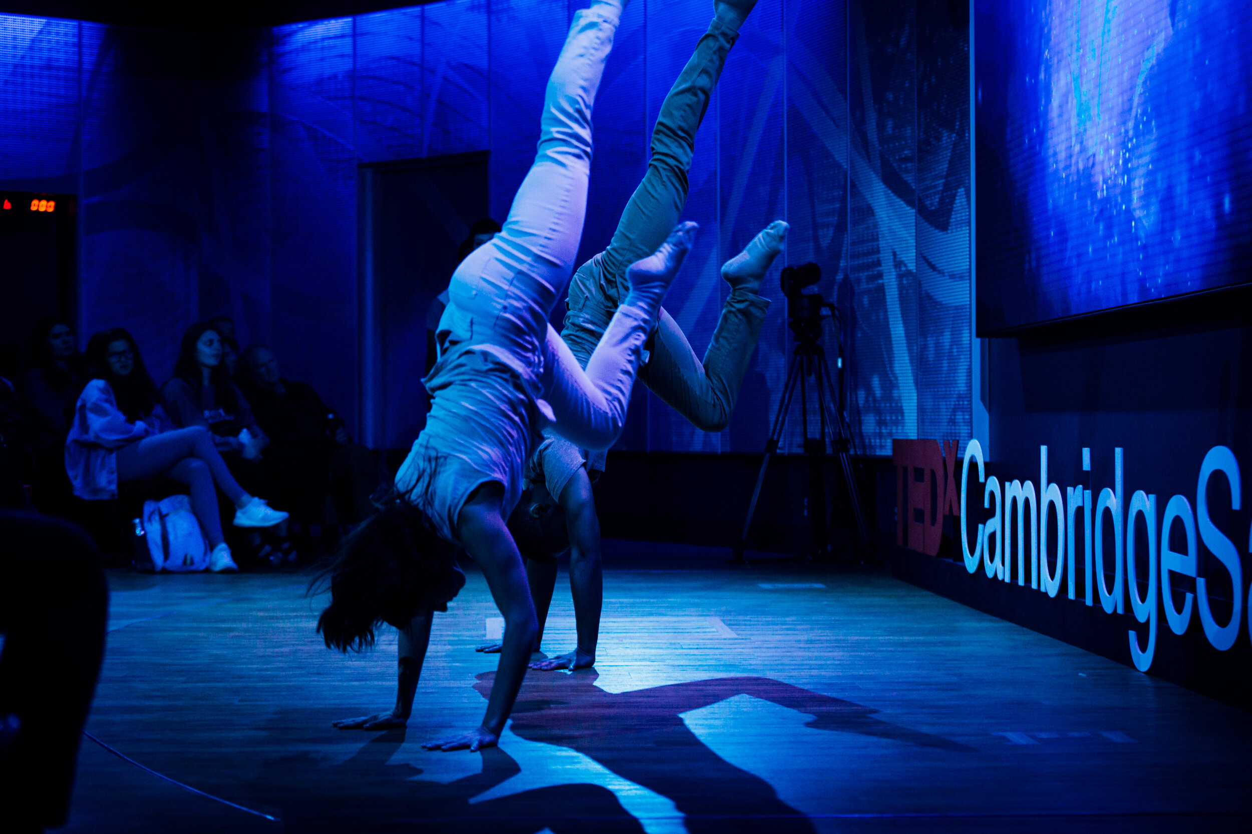 Salon 8 - Boston Dance Theater