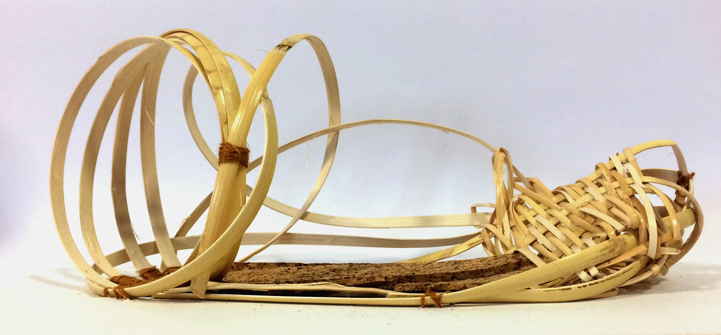 Concept model