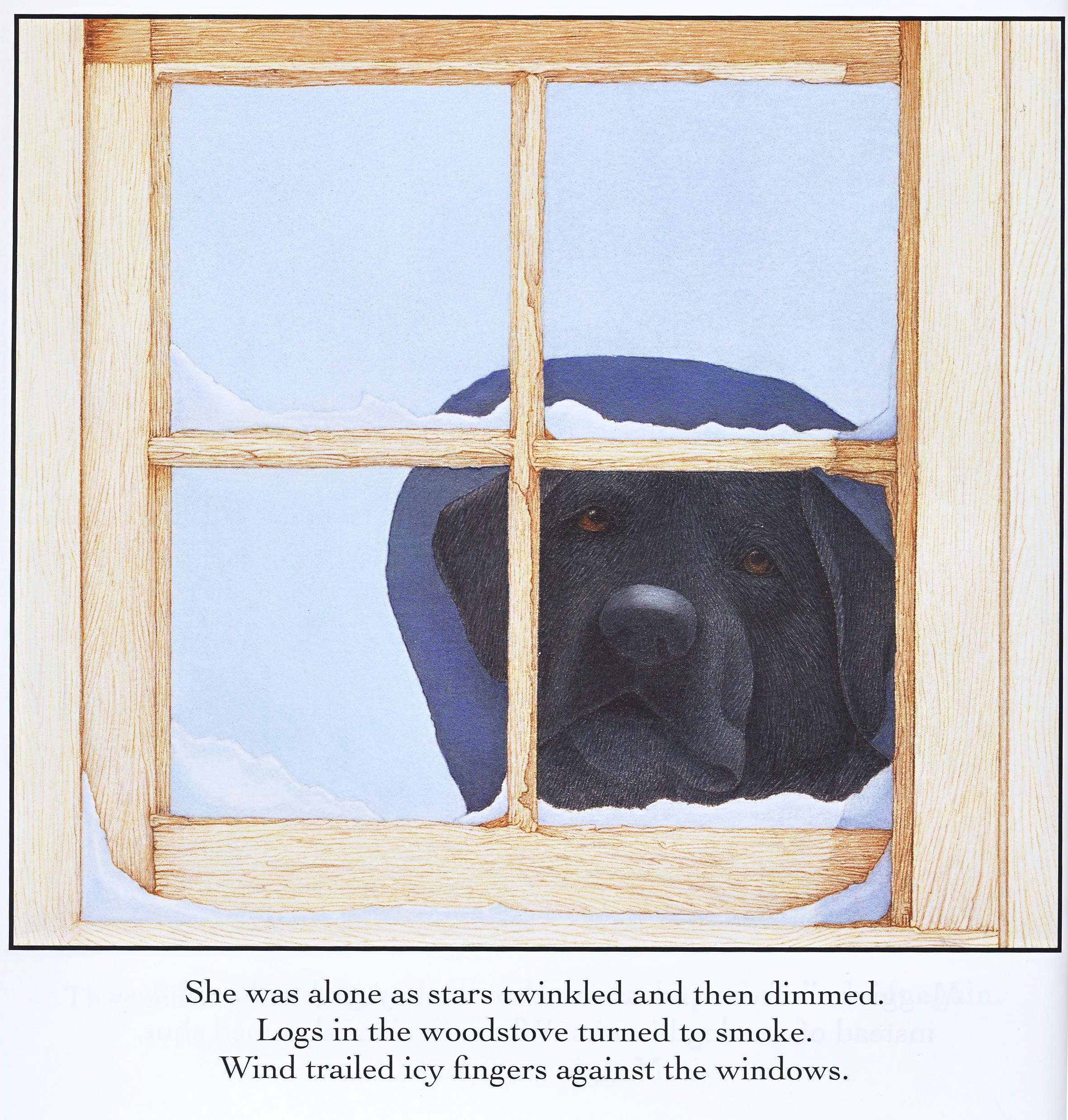 Maggie's Second Chance