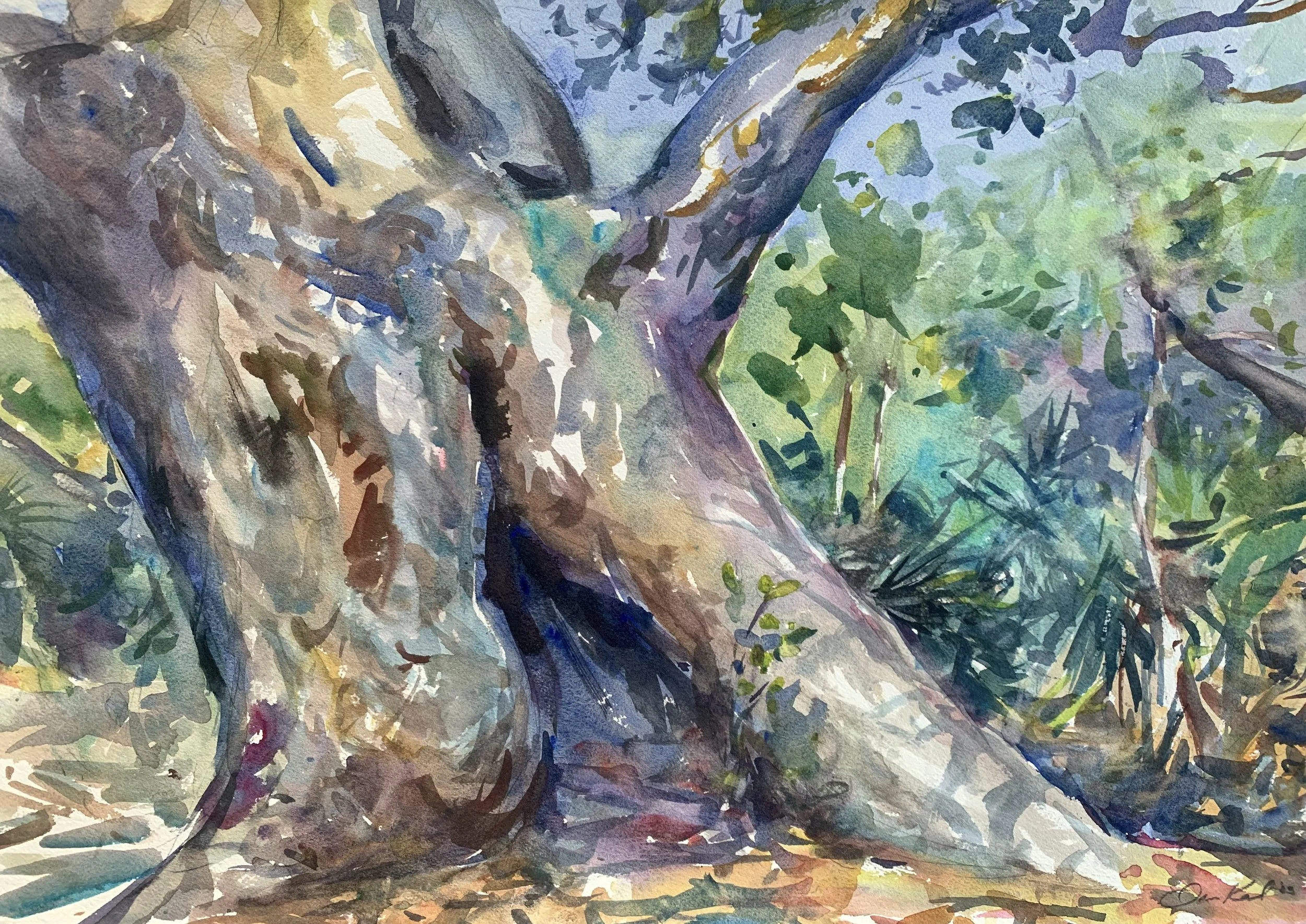 timmons_oak copy.jpeg