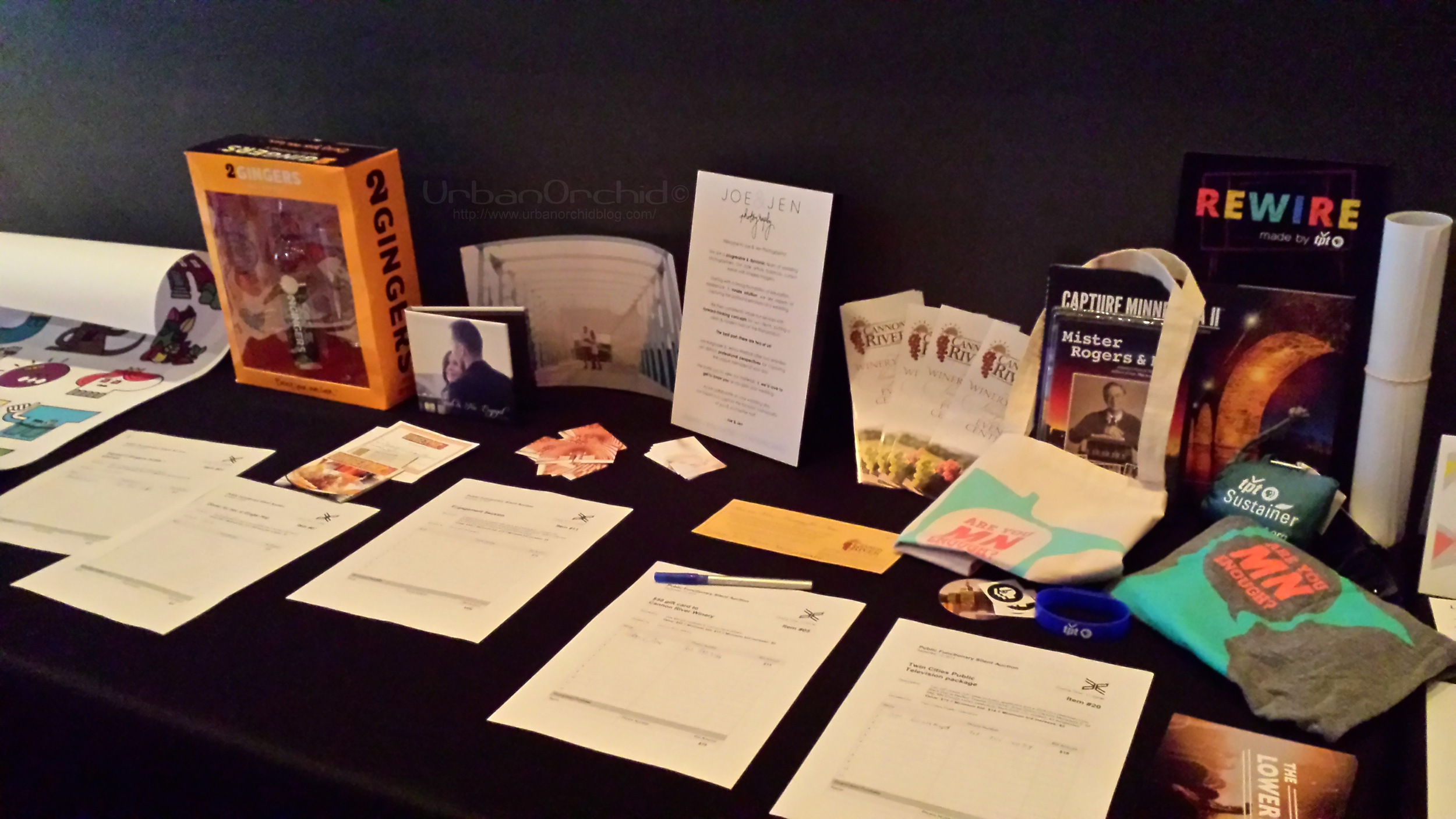  Silent auction items benefitting Public Functionary at Envision Fall 2014. 