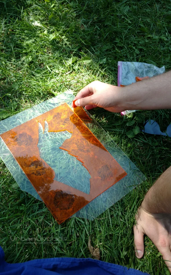 Loring Park checkpoint challenge included a llama puzzle and word scramble. 