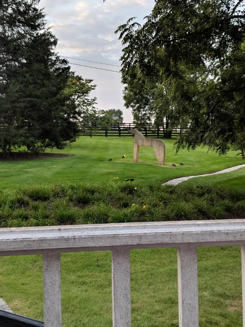 View from the patio at Woodford. Real horses roamed in the grass beyond the fence and into the sunset. So dreamy.