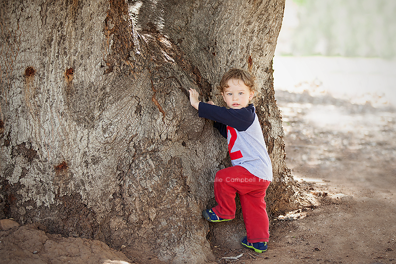 Oak park Photographer