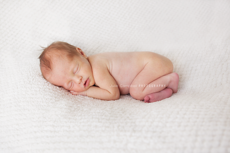 Newborn Photographer Thousand Oaks