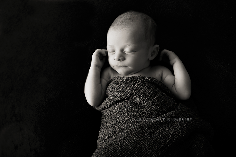 Westlake Village Newborn Photographer