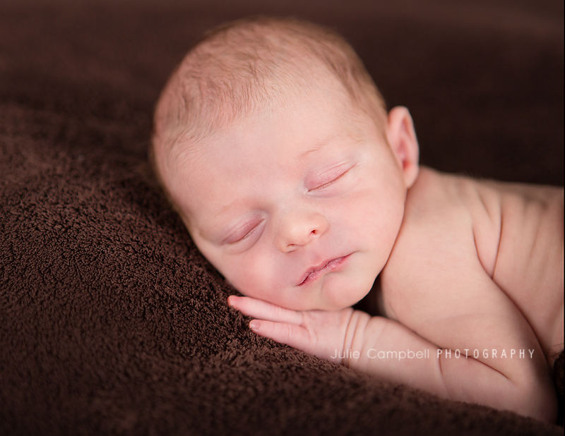 Westlake Village Newborn Photographer