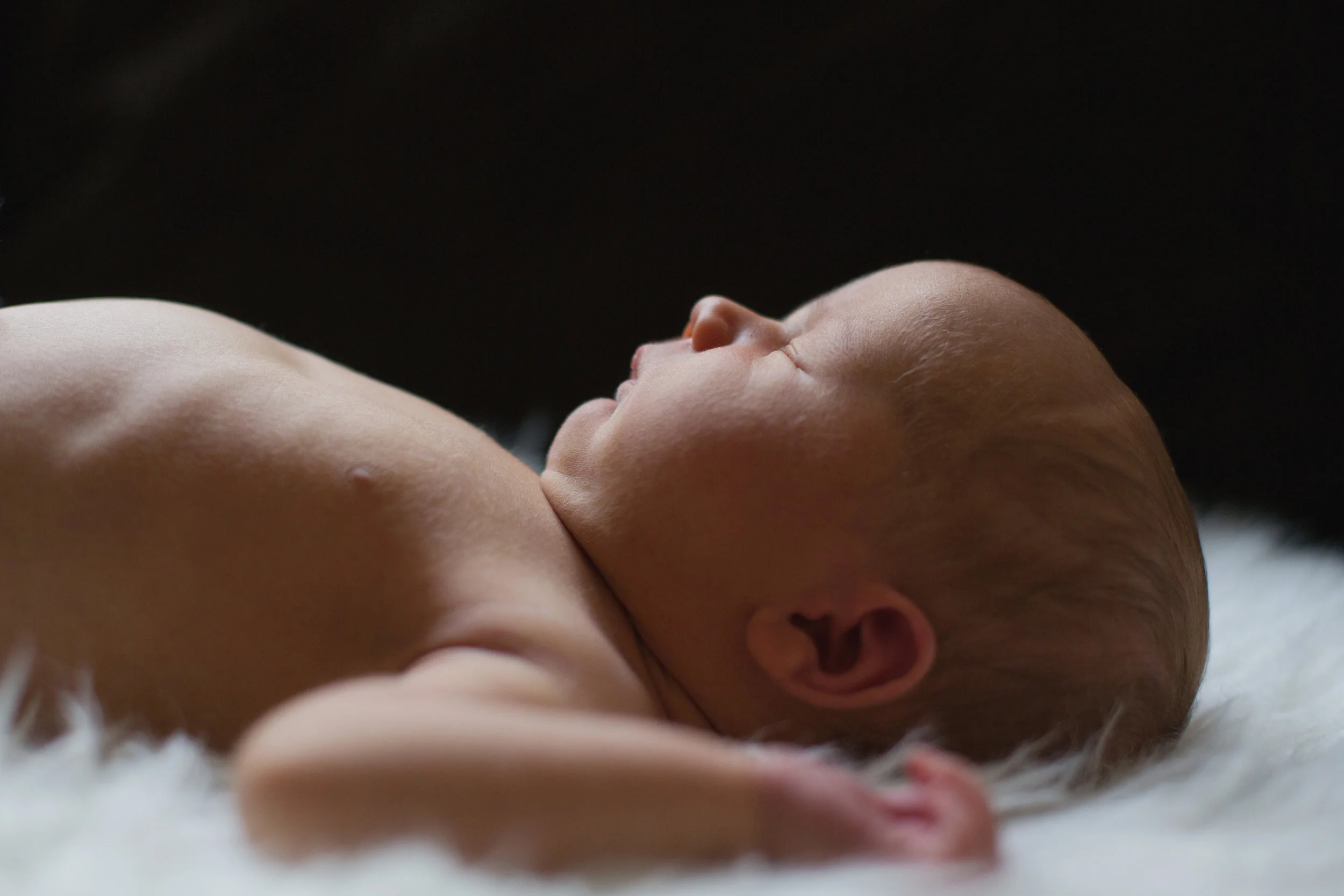 Thousand Oaks Newborn Photographer
