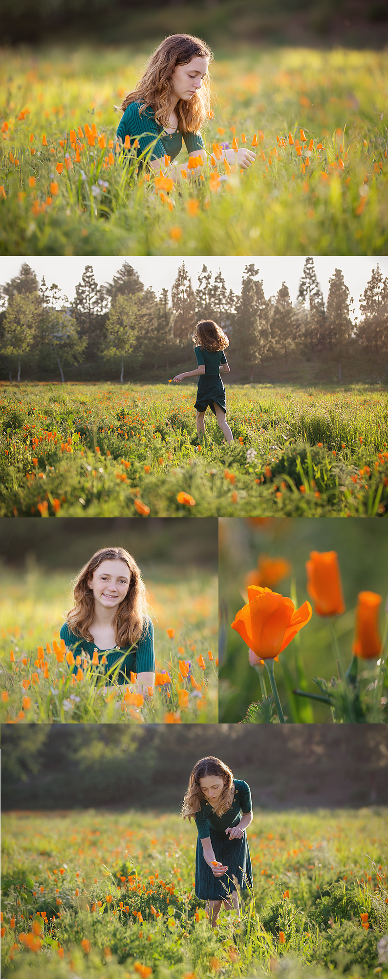 ventura county photographer julie campbell