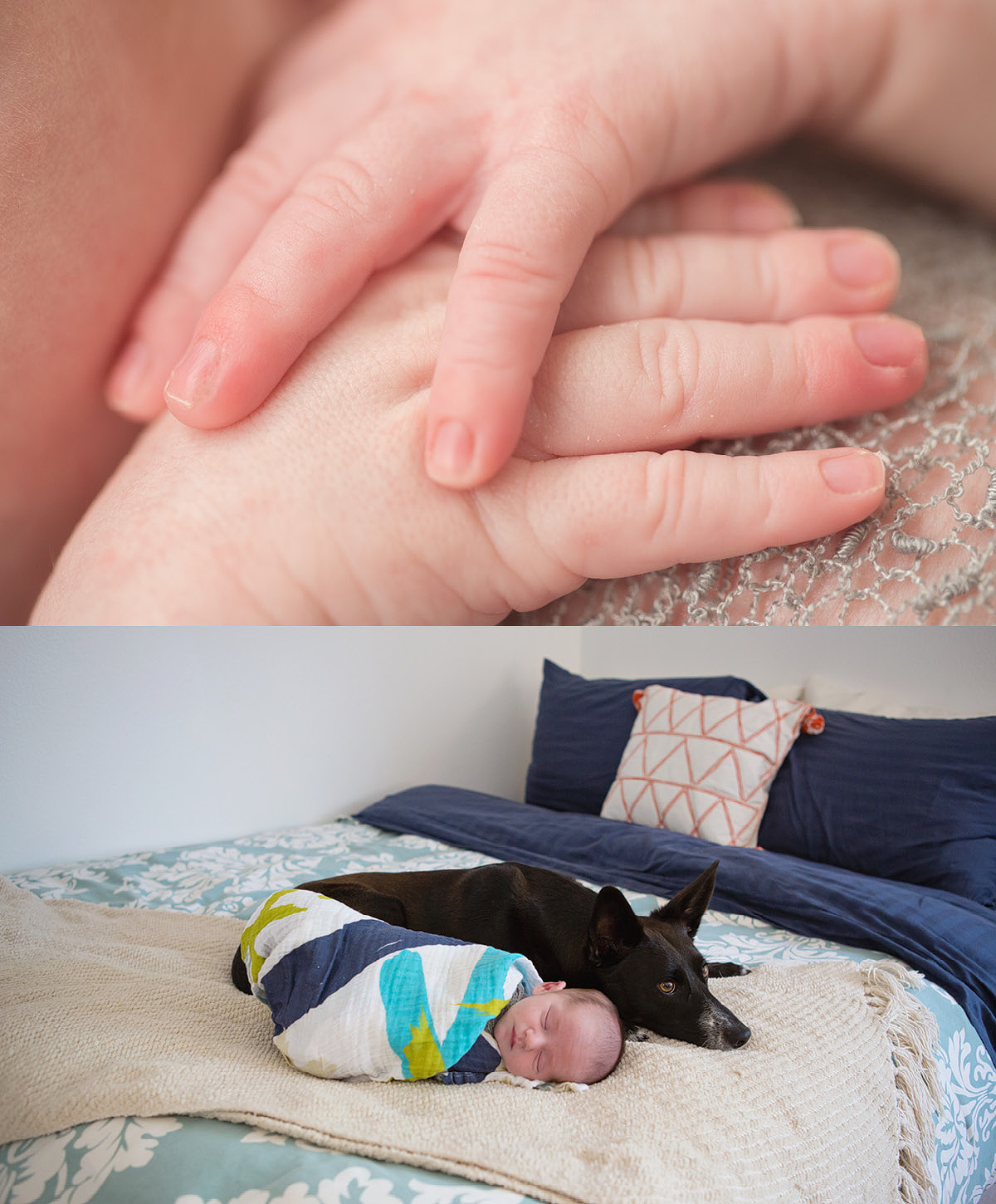 Best Ventura County Newborn Photographer