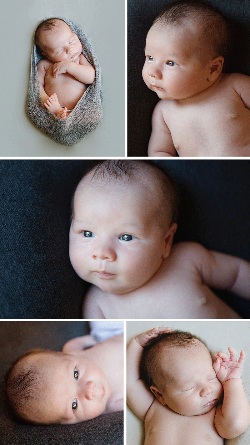 westlake_village_photographer.png